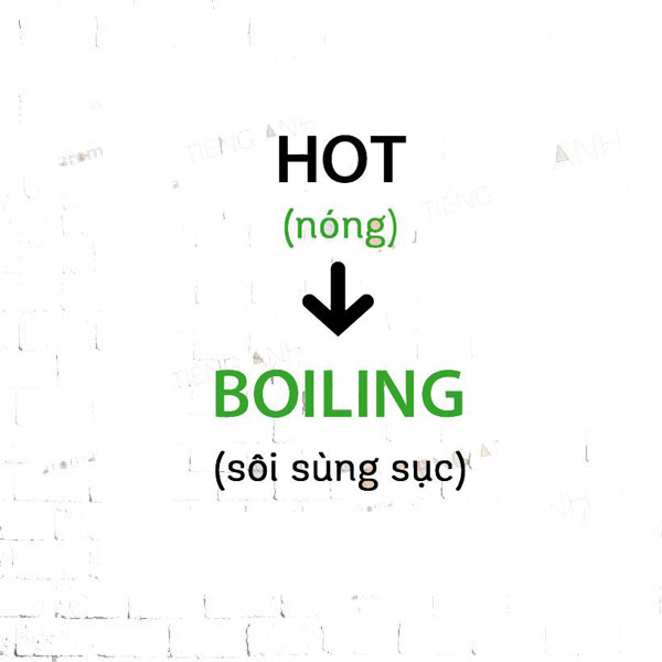 Tính từ nhấn mạnh